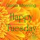 Free Happy Tuesday Images