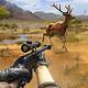 Free Hunting Games Online