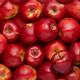 Free Images Of Apples