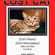 Free Lost Cat Flyer Template
