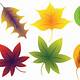 Free Printable Autumn Leaves