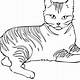 Free Printable Cat Pictures To Color