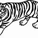 Free Printable Coloring Pages Of Tigers