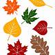 Free Printable Fall Leaves