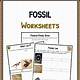 Free Printable Fossil Worksheets