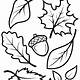 Free Printable Leaves Colouring Pages