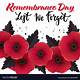 Free Remembrance Day Images