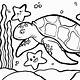 Free Sea Turtle Coloring Pages