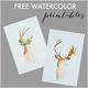 Free Watercolor Printables