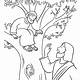 Free Zacchaeus Coloring Pages