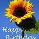 Happy Birthday Sunflower Images Free