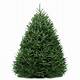Home Depot Fresh Christmas Trees Prices
