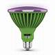 Home Depot Grow Light Bulb