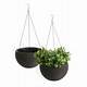 Home Depot Hanging Planters