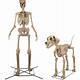 Home Depot Skeleton Dog
