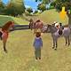 Horse Games Online For Free