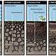 How Long Does Soil Take To Form