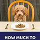 How Long Will My Dog Food Last Calculator
