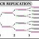 How Much Template Dna For Pcr