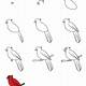 How To Draw A Cardinal Bird Step By Step