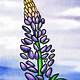 How To Draw A Lupine Flower