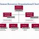 Hr Organizational Chart Template