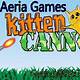 Kitten Cannon Game