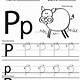 Letter P Worksheets Free Printables