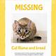 Lost Cat Template Google Docs
