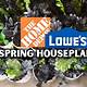 Lowes Vs Home Depot Plants