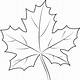 Maple Leaf Printable Template