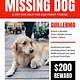 Missing Dog Flyer Template