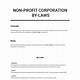 Not For Profit Bylaws Template