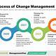 Organizational Change Management Template