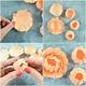 Paper Peony Flower Template