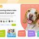 Pet Care Website Templates