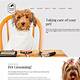 Pet Grooming Website Template