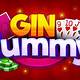 Play Gin Rummy Online Free