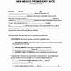 Promissory Note Template New Mexico