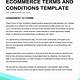 Retail Terms And Conditions Template
