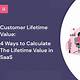 Saas Customer Lifetime Value Calculation