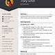 Seo Resume Template