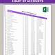 Small Business Chart Of Accounts Template Excel