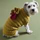 Small Dog Sweater Crochet Pattern Free