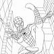 Spiderman Color Pages Free