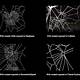 Spiderwebs On Different Substances Meme Template