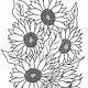Sunflower Coloring Pages Free