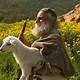 The Lost Sheep Free Bible Images