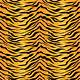 Tiger Stripe Template