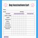 Vet Vaccination Record Template